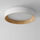 Modern Simple LED Ceiling Light