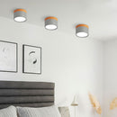 Set of 2 Small Flush Ceiling Lighting Macaron Finish Ceiling Lamp for hallway