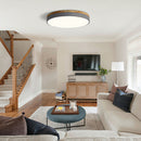 Living Room LED Ceiling Lights