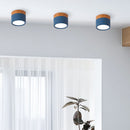 Set of 2 Small Flush Ceiling Lighting Macaron Finish Ceiling Lamp for hallway