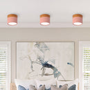 Set of 2 Small Flush Ceiling Lighting Macaron Finish Ceiling Lamp for hallway
