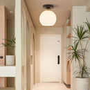 Modern Black Flush Globe Ceiling Light