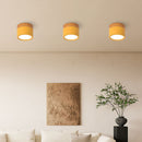 Set of 2 Small Flush Ceiling Lighting Macaron Finish Ceiling Lamp for hallway