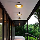 Black Modern Minimalist Living Room Ceiling Lights