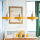 3 Heads Modern Art Decor Simple Glass Pendant Light