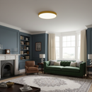 Energy Efficient LED Flush Ceiling Lights for Bedroom and Living Room