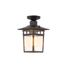 IP65 Vintage Outdoor Ceiling Lights in Black