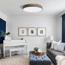 Round Ceiling Lights, 3 Light Colors Changeable, grey, 30cm, round