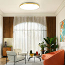 Modern Minimalism Energy-Saving Led Ceiling Lights for Living Room Bedroom