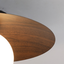 Modern Minimalist Entrance Ceiling Lights