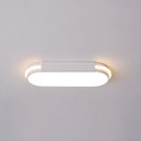 Industrial Acrylic Living Room Flush LED Ceiling Lights