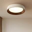 Modern Simple LED Ceiling Light