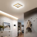 Modern LED Ceiling Lamp for Hallway