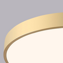 Minimalist Colorful Energy Efficient Flush Mount LED Ceiling Light
