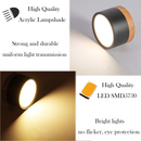 Cylinder Small Flush Ceiling Lights