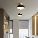 Modern Nordic Minimalist Eco-friendly Ceiling Light
