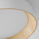 Modern Simple LED Ceiling Light