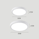 Modern simple white ceiling lamp for living room