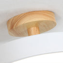 Colorful Semi-flush LED Ceiling Lights