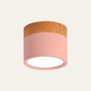 Set of 2 Small Flush Ceiling Lighting Macaron Finish Ceiling Lamp for hallway