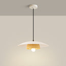 Modern Dome Designer Metal Pendant Light