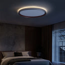 Minimalist Led Ceiling Light