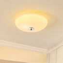 Modern Simple Minimalist Ceiling Light