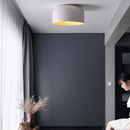 Modern Flush Iron Ceiling Lights