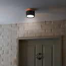 Cylinder Small Flush Ceiling Lights