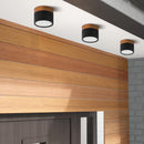 Cylinder Small Flush Ceiling Lights