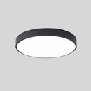 Energy Efficient LED Flush Ceiling Lights for Bedroom and Living Room