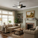 Modern LED Silent Ceiling Fan with Lights for Bedroom Living Room Dormitory