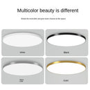 Living Room Minimalism Ceiling Light