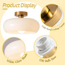 Vintage Round Glass Ceiling Lights