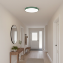 Energy Efficient LED Flush Ceiling Lights for Bedroom and Living Room