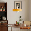 Minimalism Art Decor Garden Conservatory Pendant Light with Bulbs