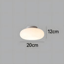 Modern PE Bedroom LED Ceiling Lights