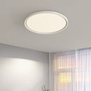 Modern Minimalist Nordic Iron Living Room LED Ceiling Light