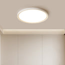 Modern Minimalist Nordic Iron Living Room LED Ceiling Light