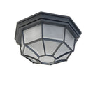 IP65 Outdoor Rustic Ceiling Light Suitable for both wall and ceiling mounting