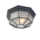 IP65 Outdoor Rustic Ceiling Light Suitable for both wall and ceiling mounting