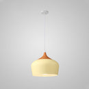 Minimalism Elegance Dining Room Pendant Lights