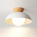 Modern Nordic Minimalist Eco-friendly Ceiling Light