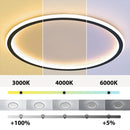 Nordic Style Disc LED Ceiling Lighting