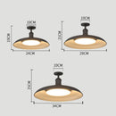 Black Modern Minimalist Living Room Ceiling Lights