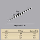 Modern Black Long Strip LED Ceiling Lights