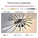 Nordic Minimalist Metal Creativity LED Ceiling Light