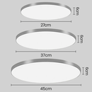 Living Room Minimalism Ceiling Light